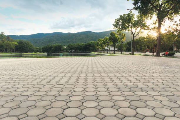 Best Driveway Pavers for Homes  in Vonore, TN
